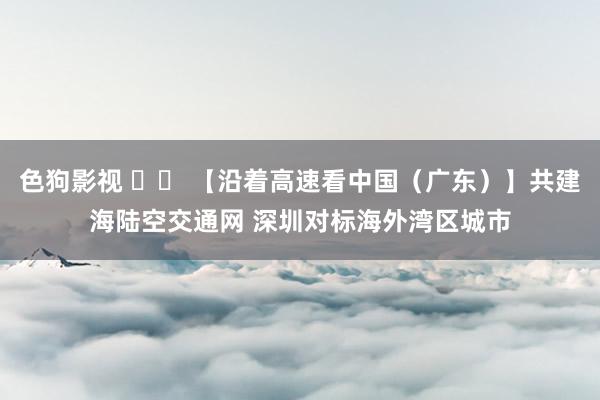 色狗影视 		 【沿着高速看中国（广东）】共建海陆空交通网 深圳对标海外湾区城市