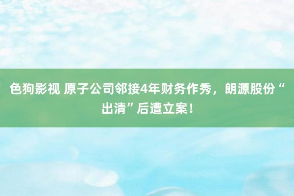 色狗影视 原子公司邻接4年财务作秀，朗源股份“出清”后遭立案！