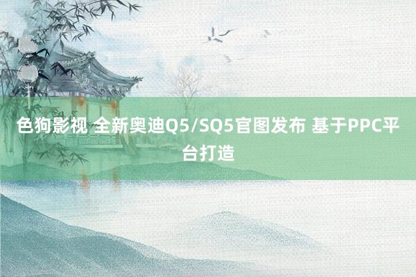 色狗影视 全新奥迪Q5/SQ5官图发布 基于PPC平台打造