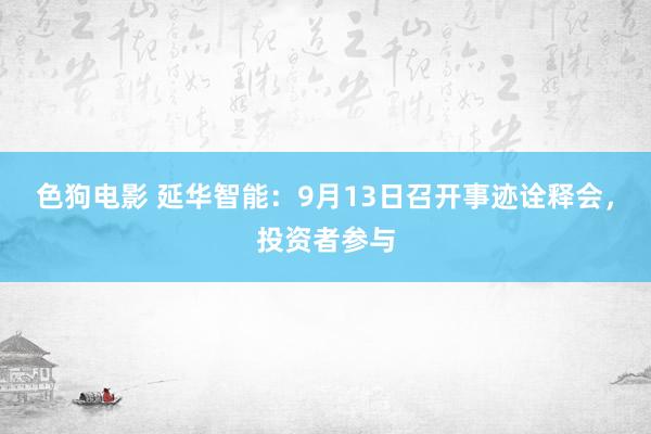 色狗电影 延华智能：9月13日召开事迹诠释会，投资者参与