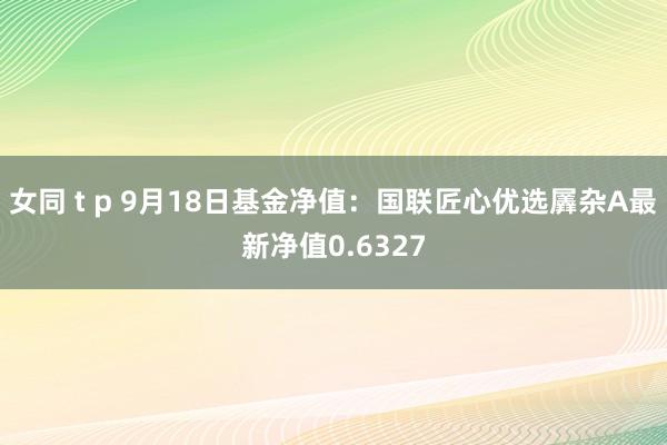 女同 t p 9月18日基金净值：国联匠心优选羼杂A最新净值0.6327