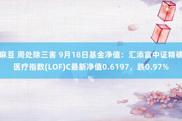 麻豆 周处除三害 9月18日基金净值：汇添富中证精确医疗指数(LOF)C最新净值0.6197，跌0.97%