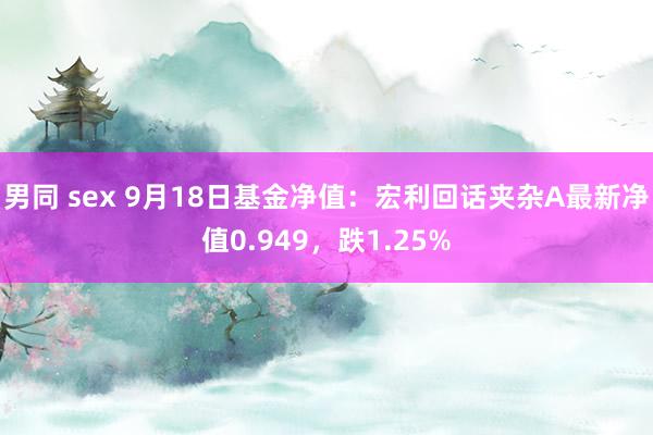 男同 sex 9月18日基金净值：宏利回话夹杂A最新净值0.949，跌1.25%