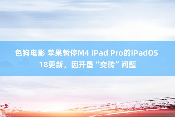 色狗电影 苹果暂停M4 iPad Pro的iPadOS 18更新，因开垦“变砖”问题