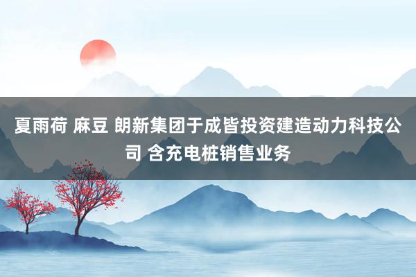 夏雨荷 麻豆 朗新集团于成皆投资建造动力科技公司 含充电桩销售业务