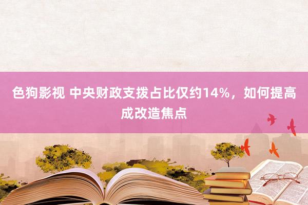 色狗影视 中央财政支拨占比仅约14%，如何提高成改造焦点