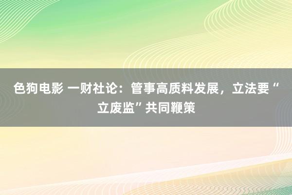 色狗电影 一财社论：管事高质料发展，立法要“立废监”共同鞭策