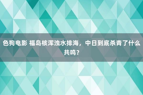 色狗电影 福岛核浑浊水排海，中日到底杀青了什么共鸣？