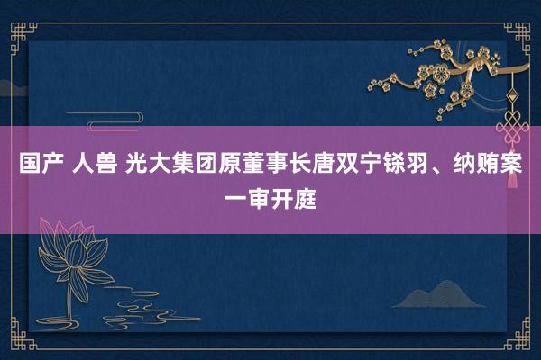 国产 人兽 光大集团原董事长唐双宁铩羽、纳贿案一审开庭