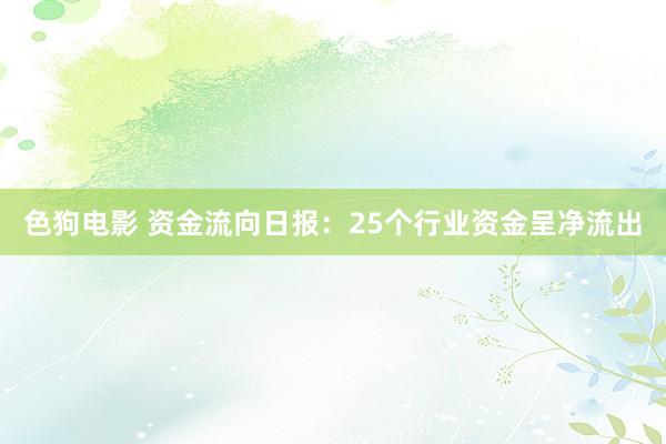 色狗电影 资金流向日报：25个行业资金呈净流出