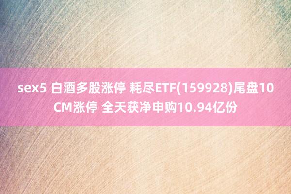 sex5 白酒多股涨停 耗尽ETF(159928)尾盘10CM涨停 全天获净申购10.94亿份