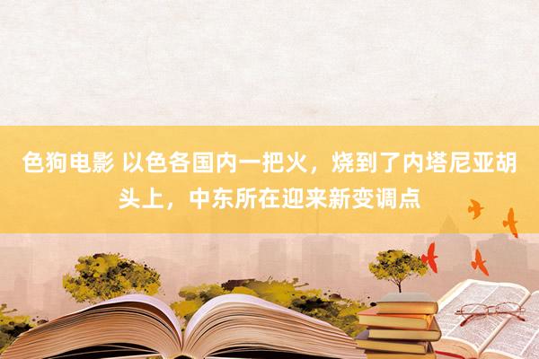 色狗电影 以色各国内一把火，烧到了内塔尼亚胡头上，中东所在迎来新变调点