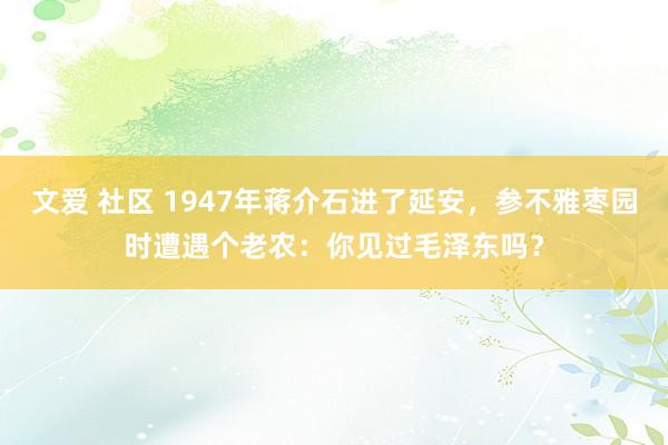 文爱 社区 1947年蒋介石进了延安，参不雅枣园时遭遇个老农：你见过毛泽东吗？