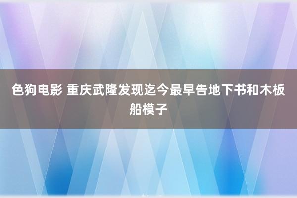 色狗电影 重庆武隆发现迄今最早告地下书和木板船模子