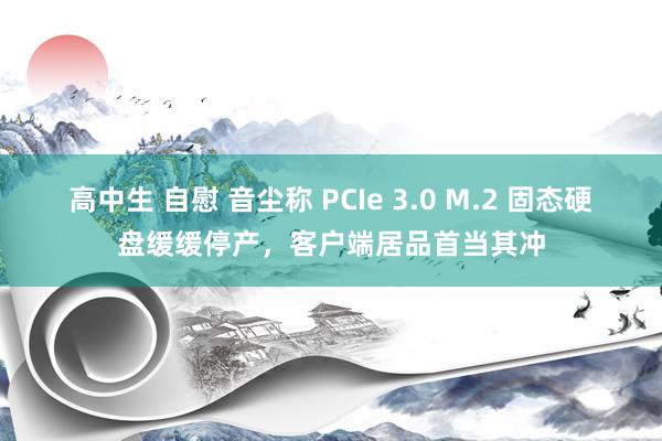 高中生 自慰 音尘称 PCIe 3.0 M.2 固态硬盘缓缓停产，客户端居品首当其冲