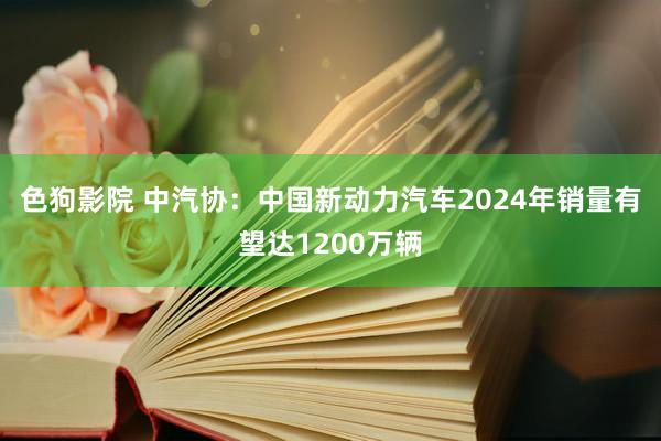 色狗影院 中汽协：中国新动力汽车2024年销量有望达1200万辆