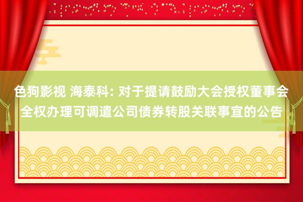 色狗影视 海泰科: 对于提请鼓励大会授权董事会全权办理可调遣公司债券转股关联事宜的公告