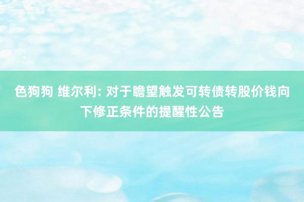 色狗狗 维尔利: 对于瞻望触发可转债转股价钱向下修正条件的提醒性公告