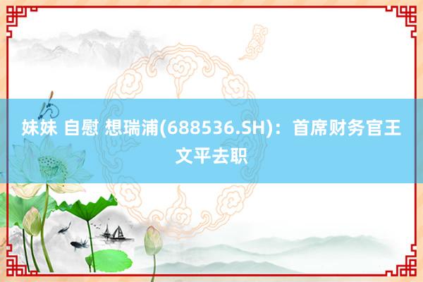 妹妹 自慰 想瑞浦(688536.SH)：首席财务官王文平去职