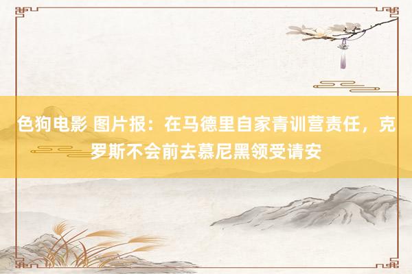 色狗电影 图片报：在马德里自家青训营责任，克罗斯不会前去慕尼黑领受请安