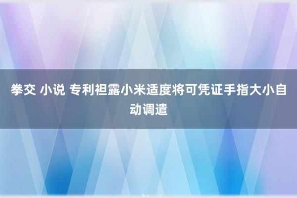 拳交 小说 专利袒露小米适度将可凭证手指大小自动调遣