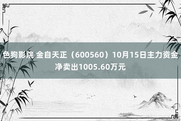 色狗影院 金自天正（600560）10月15日主力资金净卖出1005.60万元