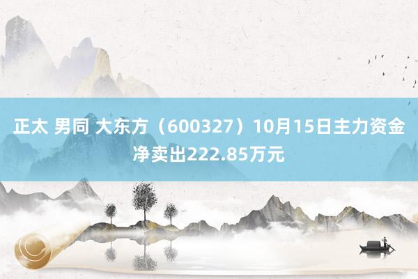 正太 男同 大东方（600327）10月15日主力资金净卖出222.85万元