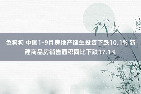 色狗狗 中国1-9月房地产诞生投资下跌10.1% 新建商品房销售面积同比下跌17.1%