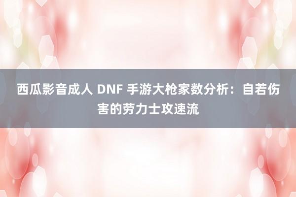 西瓜影音成人 DNF 手游大枪家数分析：自若伤害的劳力士攻速流