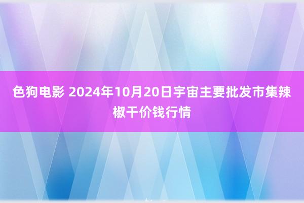 色狗电影 2024年10月20日宇宙主要批发市集辣椒干价钱行情