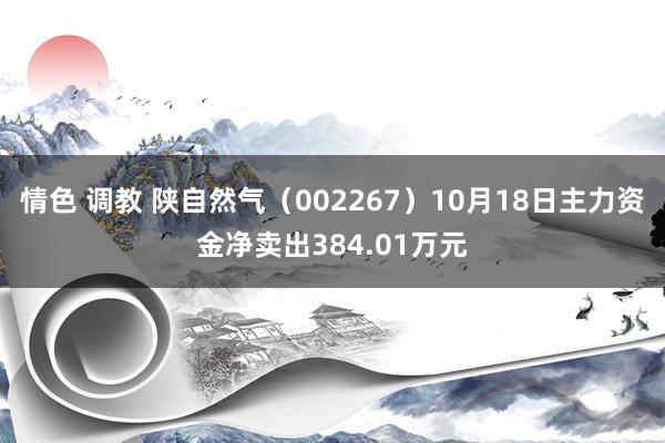 情色 调教 陕自然气（002267）10月18日主力资金净卖出384.01万元