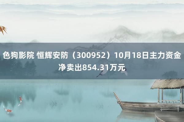 色狗影院 恒辉安防（300952）10月18日主力资金净卖出854.31万元