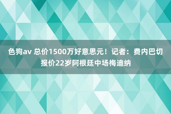 色狗av 总价1500万好意思元！记者：费内巴切报价22岁阿根廷中场梅迪纳