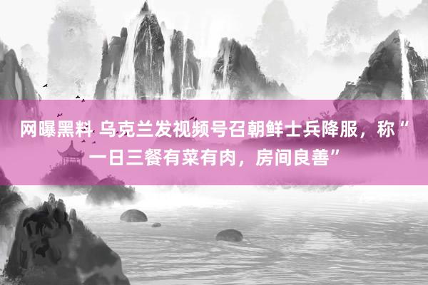 网曝黑料 乌克兰发视频号召朝鲜士兵降服，称“一日三餐有菜有肉，房间良善”