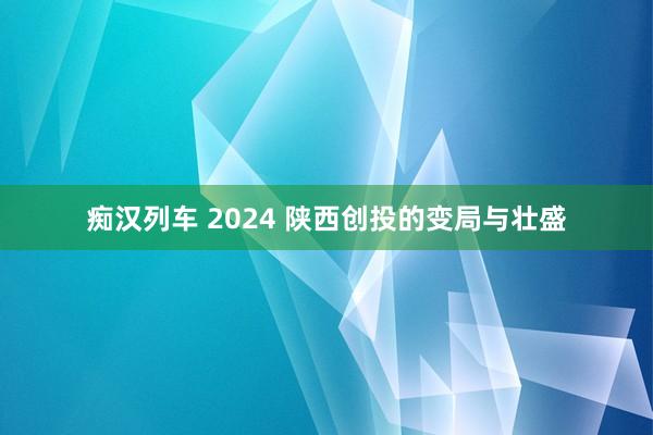 痴汉列车 2024 陕西创投的变局与壮盛