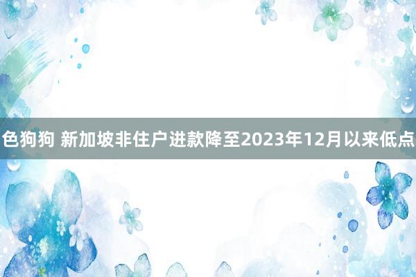 色狗狗 新加坡非住户进款降至2023年12月以来低点