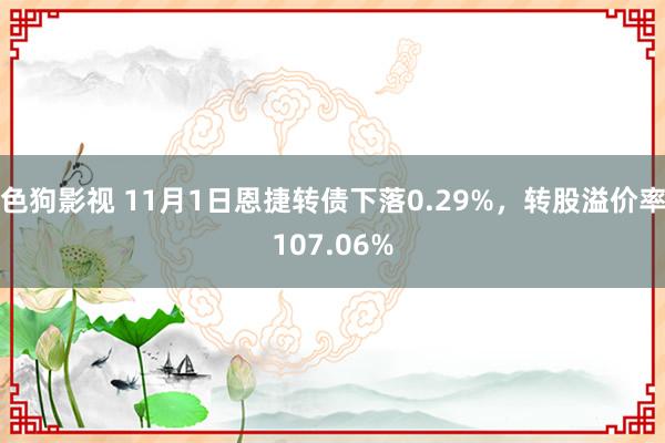 色狗影视 11月1日恩捷转债下落0.29%，转股溢价率107.06%