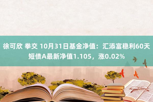 徐可欣 拳交 10月31日基金净值：汇添富稳利60天短债A最新净值1.105，涨0.02%