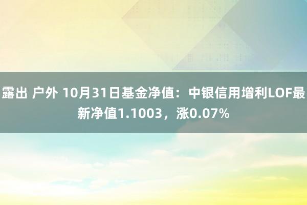 露出 户外 10月31日基金净值：中银信用增利LOF最新净值1.1003，涨0.07%