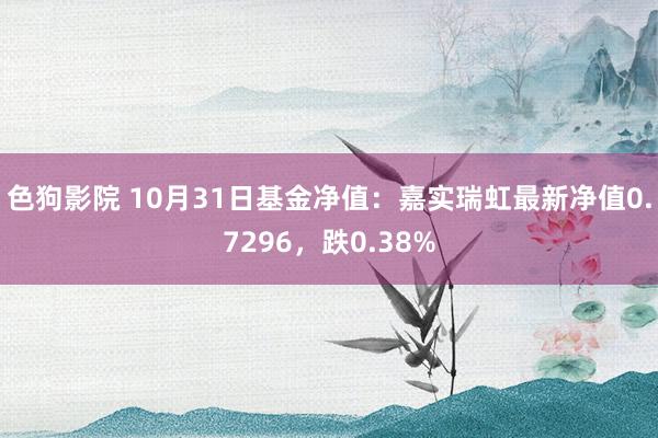 色狗影院 10月31日基金净值：嘉实瑞虹最新净值0.7296，跌0.38%