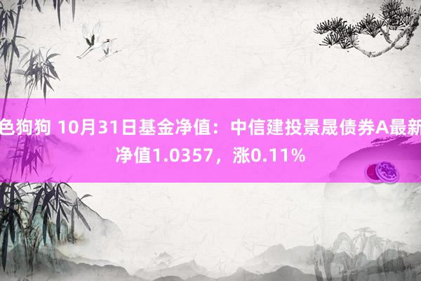 色狗狗 10月31日基金净值：中信建投景晟债券A最新净值1.0357，涨0.11%