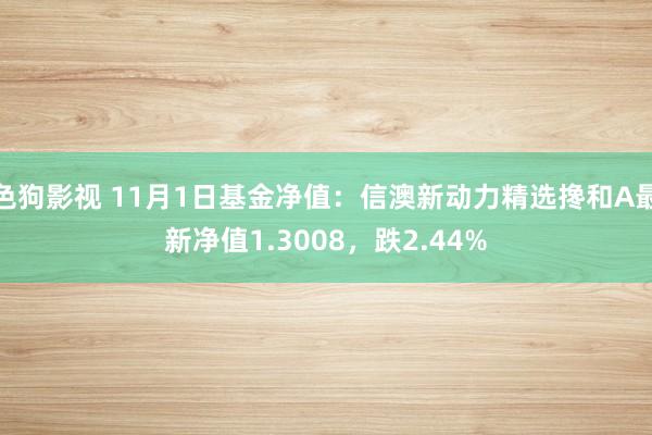 色狗影视 11月1日基金净值：信澳新动力精选搀和A最新净值1.3008，跌2.44%