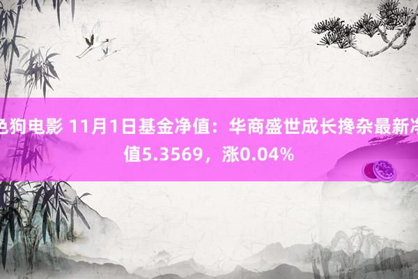 色狗电影 11月1日基金净值：华商盛世成长搀杂最新净值5.3569，涨0.04%