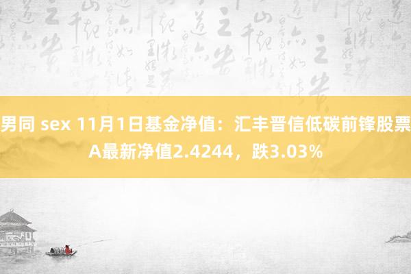 男同 sex 11月1日基金净值：汇丰晋信低碳前锋股票A最新净值2.4244，跌3.03%