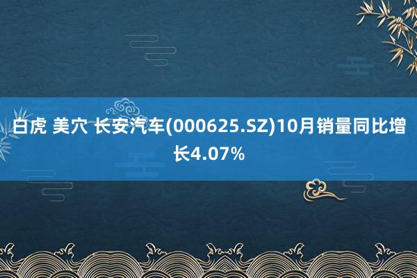 白虎 美穴 长安汽车(000625.SZ)10月销量同比增长4.07%