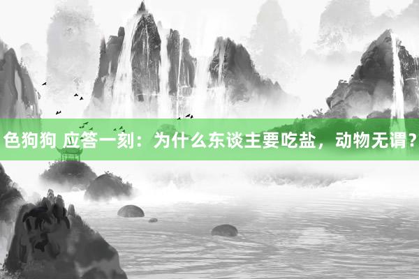 色狗狗 应答一刻：为什么东谈主要吃盐，动物无谓？