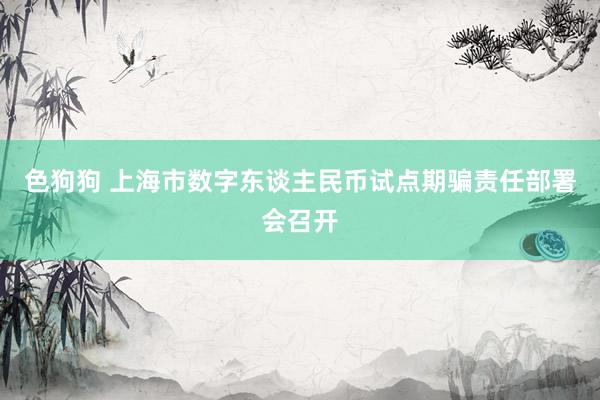 色狗狗 上海市数字东谈主民币试点期骗责任部署会召开