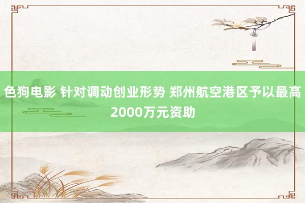 色狗电影 针对调动创业形势 郑州航空港区予以最高2000万元资助