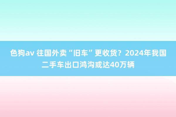 色狗av 往国外卖“旧车”更收货？2024年我国二手车出口鸿沟或达40万辆